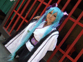 フレンド歓迎 【コスプレイヤーズアーカイブ】--トピック--