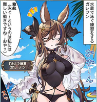 衣装制作募集】グラブル 水着ガレヲン