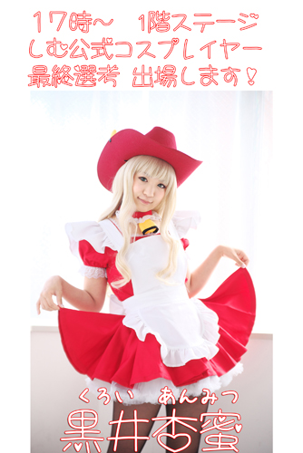 フリマ用の日記写真詳細 コスプレイヤーズアーカイブ