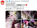 ゴミ漁り 下着 プリキュア 
